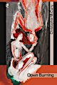 Open Burning (Paperback)